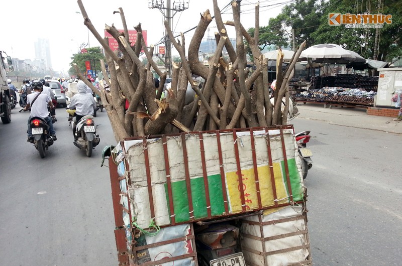 Cảnh tượng xe  chở hàng cồng kềnh không lạ lẫm mà xuất hiện nhan nhản trên nhiều tuyến phố Hà Nội. Điều này tạo ra một hình ảnh giao thông Hà Nội tiềm ẩn nhiều nguy cơ tai nạn.